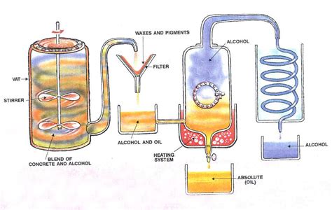 solvent extraction perfume.